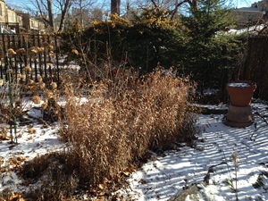 span classmenubox_blog_dateFri Jan 22 21spanWinter Gardening Pissarro